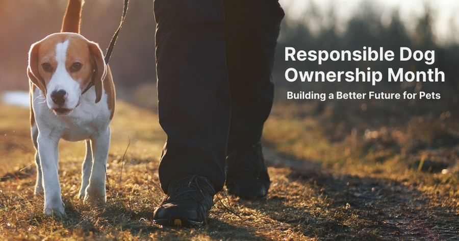 Responsible Dog Ownership Month