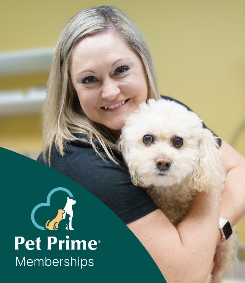 Pet Prime - Pet Wellness Plans